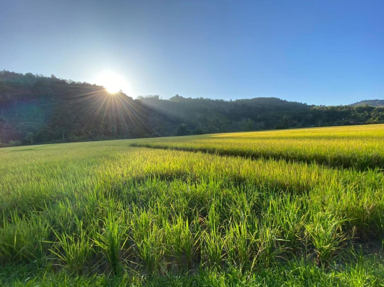 Tanah Merah Glamping Village Kuala Kangsar Bagian luar foto