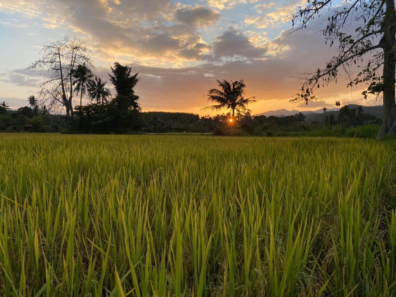 Tanah Merah Glamping Village Kuala Kangsar Bagian luar foto